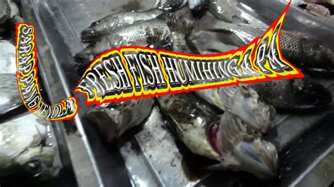 online fish market|Iba pa.